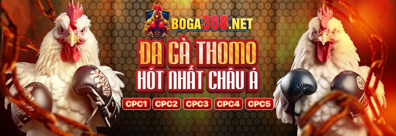 Đấu trường đá gà kịch tính tại rs99 nổ hũ