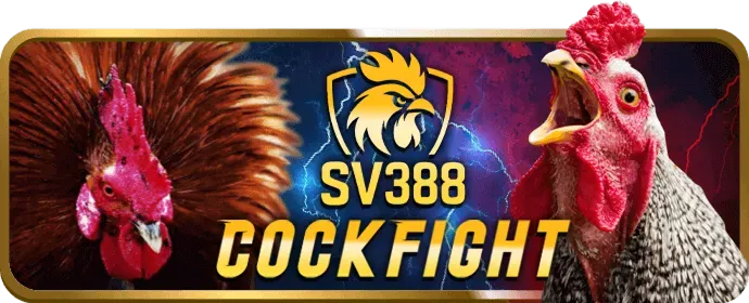 Game video slot với chủ đề phiêu lưu và vòng quay thưởng